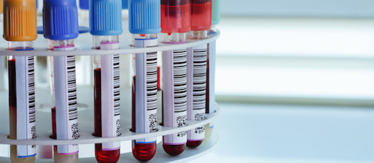 Center for Research Informatics Microbiome Center The University of